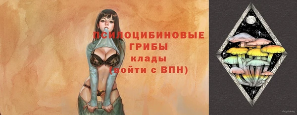 спиды Тавда