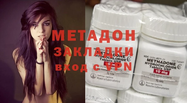 амф Тайга