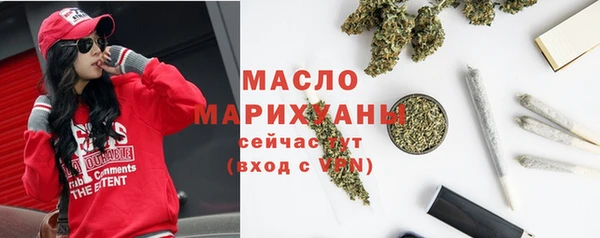 амф Тайга