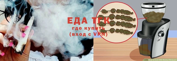 амф Тайга