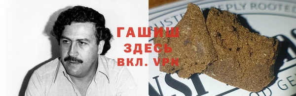 амф Тайга
