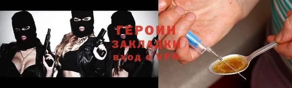 амф Тайга