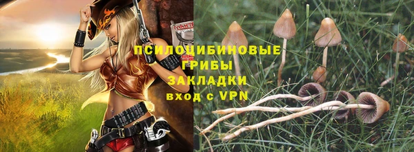 спиды Тавда