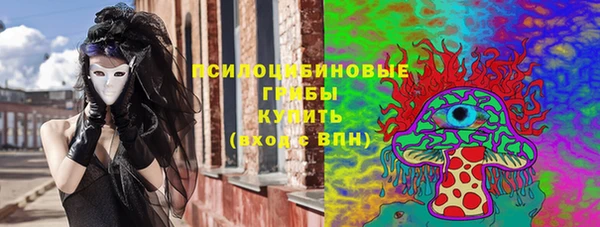 спиды Тавда