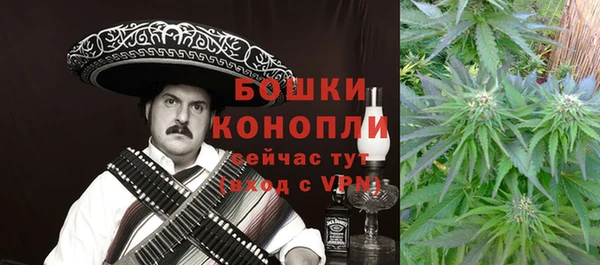 амф Тайга