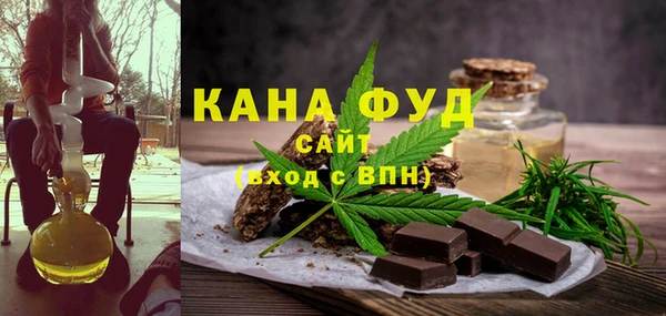 амф Тайга