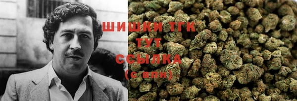 амф Тайга
