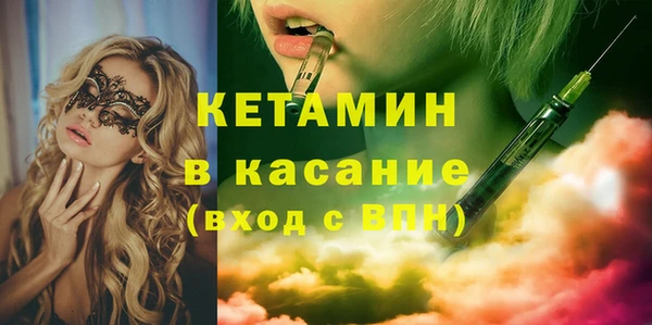 амф Тайга