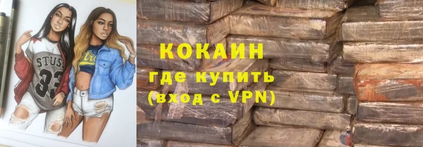 амф Тайга