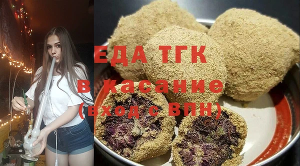 амф Тайга
