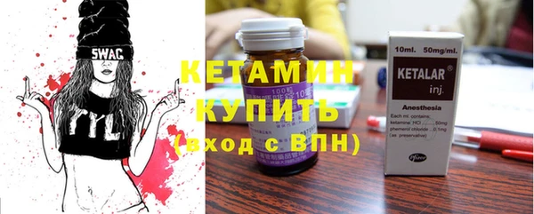 амф Тайга