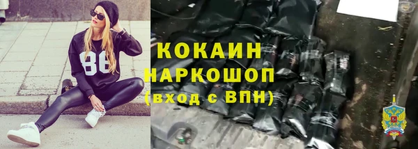 спиды Тавда