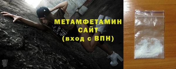 амф Тайга