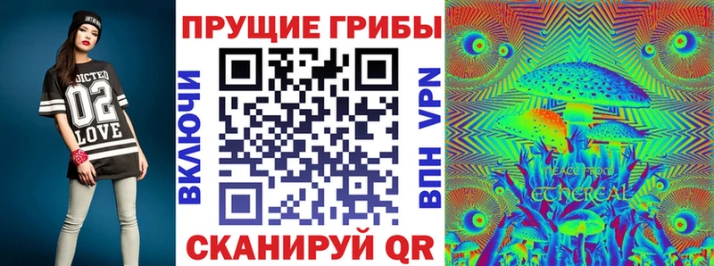 Псилоцибиновые грибы Cubensis  Судогда 